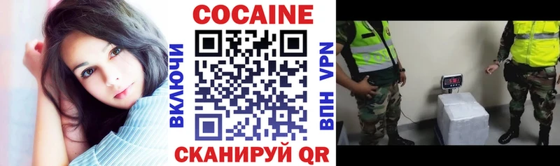 Купить где  Сосенский  Кокаин VHQ 