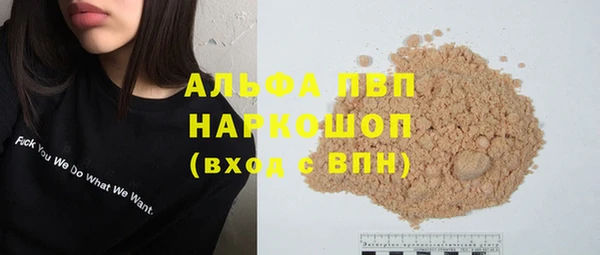PSILOCYBIN Няндома