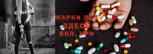 PSILOCYBIN Няндома