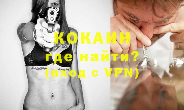PSILOCYBIN Няндома