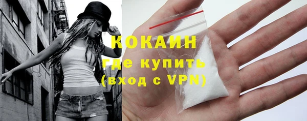 PSILOCYBIN Няндома